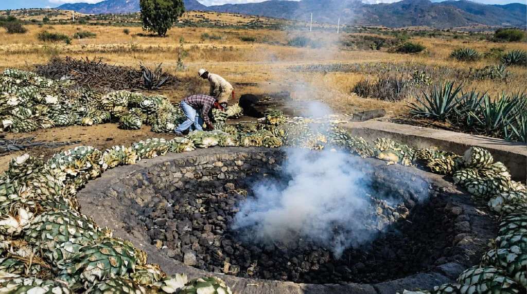 Territorios del mezcal